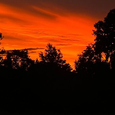Sunset Motel Глетчер Фокс Екстериор снимка